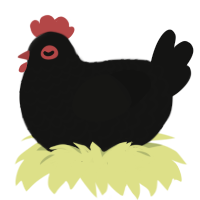 Australorp, a black chicken with a lace pattern