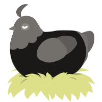 Goth, a sable and grey chicken with a head pattern