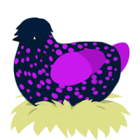 A tumblr and amethyst chicken with a speckle pattern