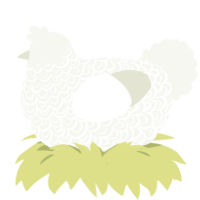 A white chicken with a double-lace pattern