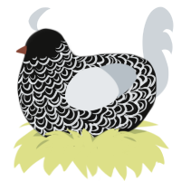 Void, a black and mist chicken with a double-lace pattern