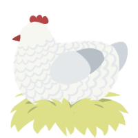 Snowy Sweetheart, a white and mist chicken with a lace pattern