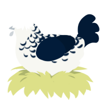(unnamed), a white and tumblr chicken with a half-lace pattern