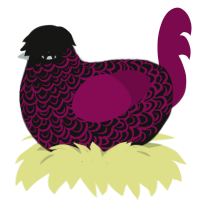 A black and wine chicken with a double-lace pattern