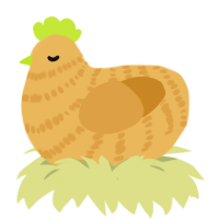Tangerine, a honey and orange chicken with a bar pattern