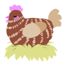 A russet and beige chicken with a bar pattern