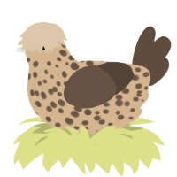 A beige and bark chicken with a speckle pattern