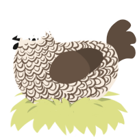 Bearded Iris, a cream and bark chicken with a double-lace pattern