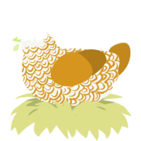 A white and ochre chicken with a double-lace pattern