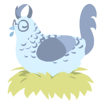 Bleu, a black and ash chicken with a half-lace pattern