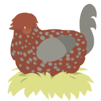Pedro Ximinez, a russet and ash chicken with a speckle pattern