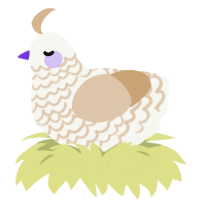 Absolute Winner, a white and beige chicken with a lace pattern