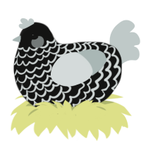 A black and silver chicken with a lace pattern