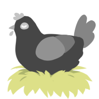 A maroon and ash chicken