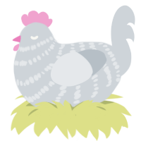 A mist chicken with a bar pattern