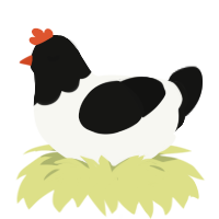 First Quarter, a white and black chicken with a head pattern