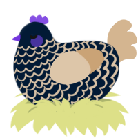 A tumblr and beige chicken with a lace pattern