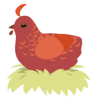 A red and vermilion chicken with a half-lace pattern