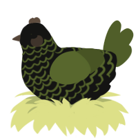 A black and olive chicken with a lace pattern