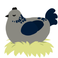A ash and tumblr chicken with a neck-speckle pattern
