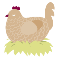 Cashew Butter, a beige chicken with a lace pattern