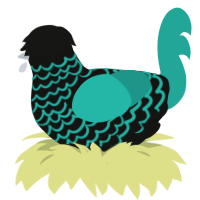 Zonite, a black and turquoise chicken with a lace pattern