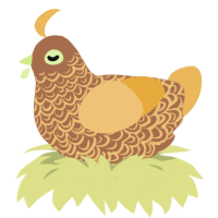 A brown and honey chicken with a double-lace pattern