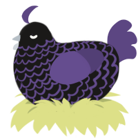 Goff, a sable and overcast chicken with a lace pattern