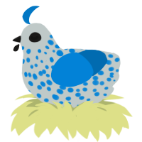 A silver and sapphire chicken with a speckle pattern