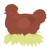 Eglantine, a russet chicken with a neck-speckle pattern