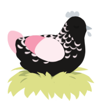 A sable and rose chicken with a half-lace pattern