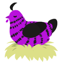 A amethyst and sable chicken with a bar pattern