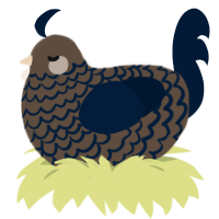 A bark and tumblr chicken with a lace pattern