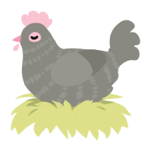 Chicken, a ash chicken with a bar pattern