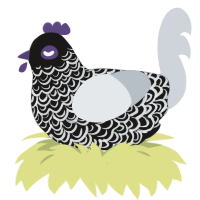 A sable and mist chicken with a double-lace pattern