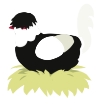 Jeff the Killer, a black and white chicken with a head pattern