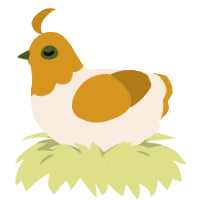 (unnamed), a cream and ochre chicken with a head pattern