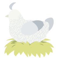 (unnamed), a white and mist chicken with a double-lace pattern