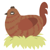 A brown and russet chicken with a bar pattern