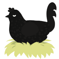 mystery, a black and sable chicken with a speckle pattern