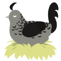 Dandruff, a ash and sable chicken with a half-lace pattern