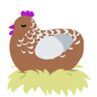 A brown and mist chicken with a half-lace pattern