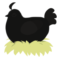 Void, a black and sable chicken