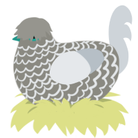 Microwave, a ash and mist chicken with a lace pattern
