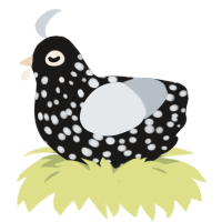 A sable and mist chicken with a speckle pattern