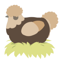 Pompompompom, a bark and beige chicken with a head pattern