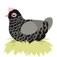 lineage curse g4, a sable and ash chicken with a lace pattern