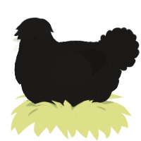 subtle, a sable chicken with a double-lace pattern