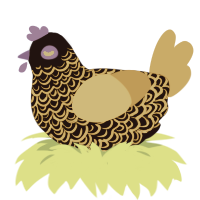 A black and ochre chicken with a double-lace pattern