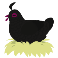 A sable and black chicken with a lace pattern